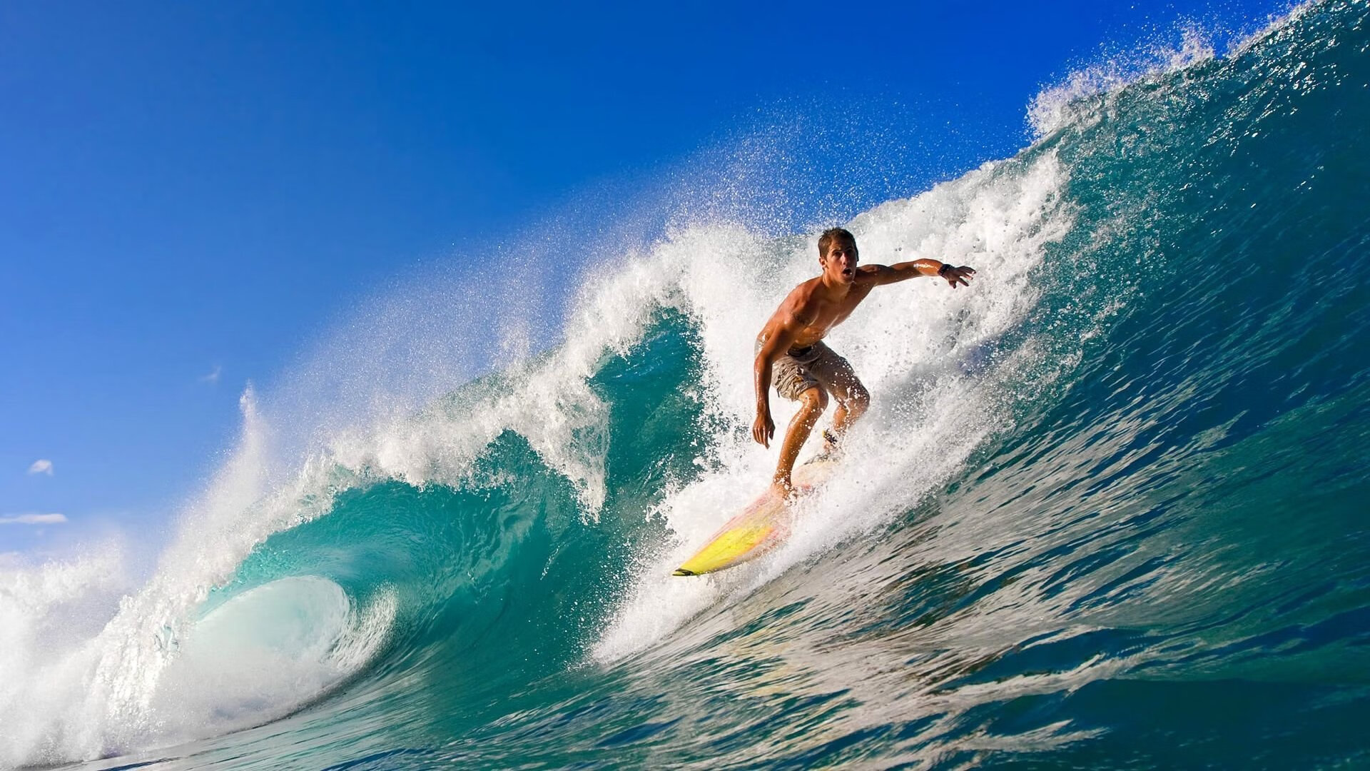 Scout连续十五场比赛得分超过最后时刻胜出，C9不断突破！赛场气氛高涨