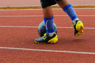 生死战德甲焦点战！AC米兰迎战上海申花，横扫或上演